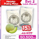 PROMO DISKON 2 PACK PUDING MELON
