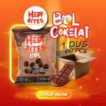 1 Carton Hepi Bites Bol Cokelat