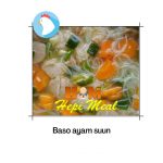 Soup Varian Rasa Baso Ayam Suun